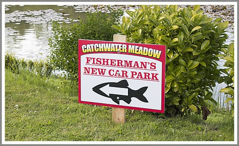 Catchwater Meadow